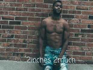 2inches_2much