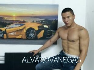 ALVAROVANEGAS Adult o Porn