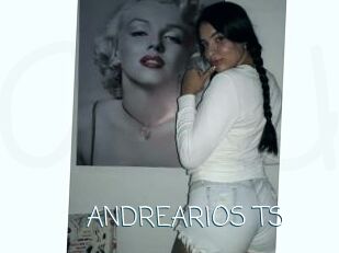 ANDREARIOS_TS