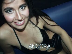 ANGORA