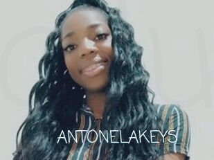ANTONELAKEYS