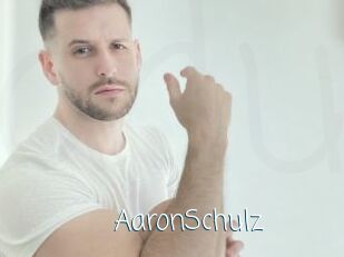AaronSchulz