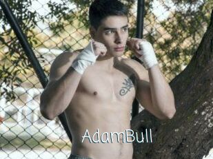 AdamBull