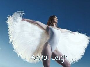 Aerial_Leigh