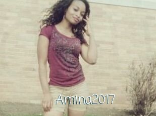 Amina2017