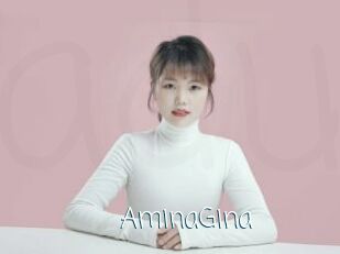 AminaGina