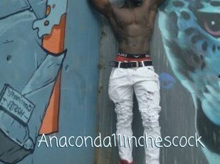 Anaconda11inchescock