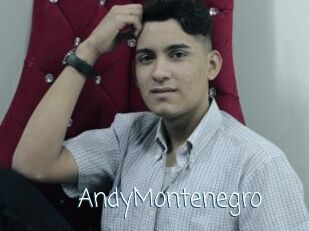 AndyMontenegro