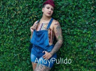 AndyPulido