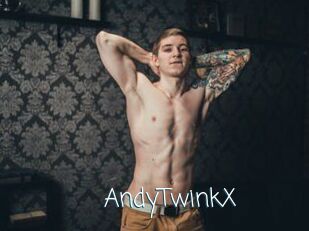 AndyTwinkX