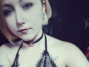 Aneko