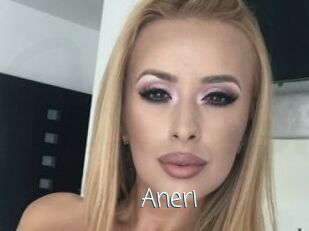 Aneri