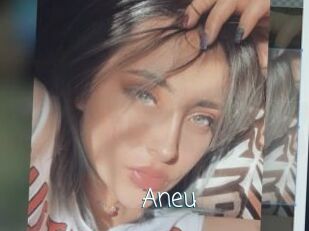 Aneu