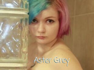 Aster_Grey