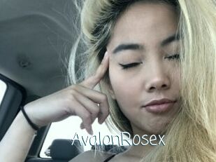 AvalonRosex