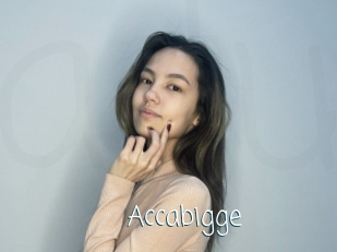 Accabigge