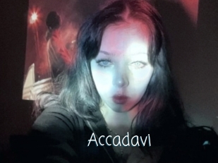 Accadavi