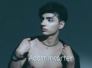 adamincarter Adult o Porn