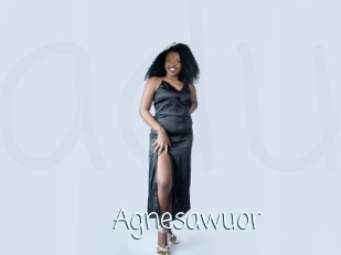 Agnesawuor