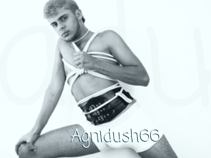Agnidush66