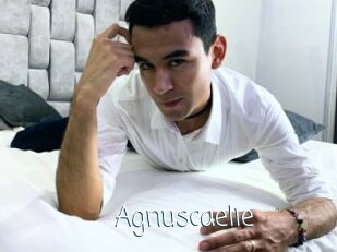 Agnuscaelie