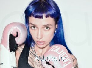 Aidacache
