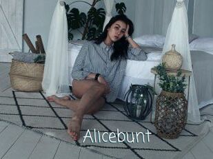 Alicebunt
