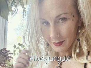 alicesjungalo Adult o Porn