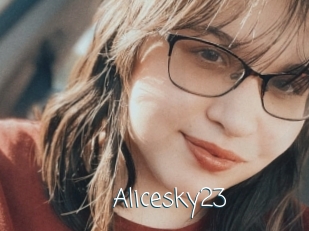 Alicesky23