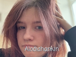 Alodiahankin