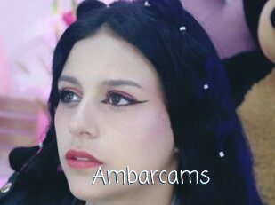 Ambarcams