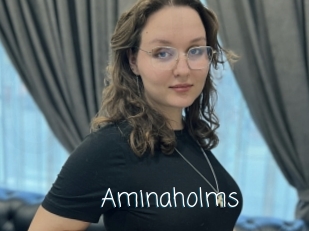 Aminaholms
