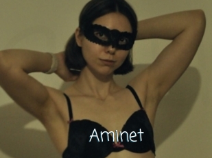 Aminet