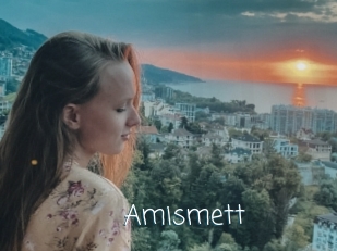 Amismett