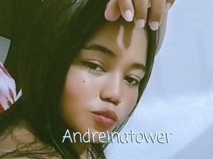 Andreinatower