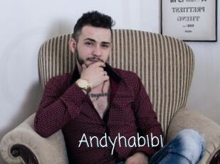 Andyhabibi