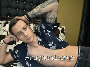 Andyhandsome