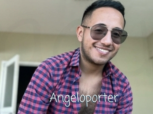 Angeloporter