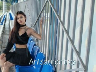 Anisamontres