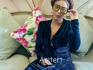 anitert Adult o Porn