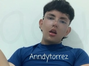 Anndytorrez