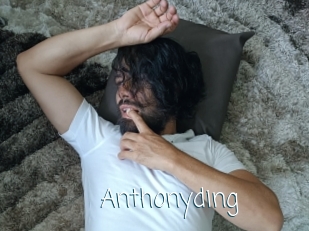 anthonyding Adult o Porn