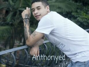 anthonyed Adult o Porn