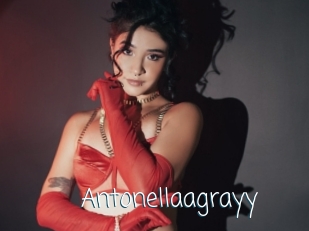 Antonellaagrayy