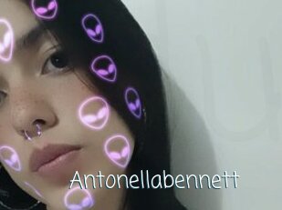 antonellabennett Adult o Porn