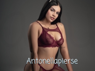 Antonellapierse