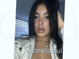 Antonellasoul