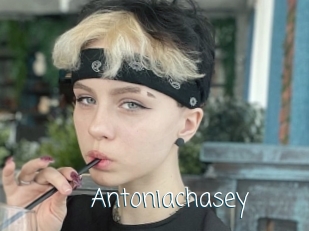 Antoniachasey