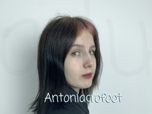 Antoniacrofoot