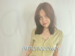 Antoniadowey